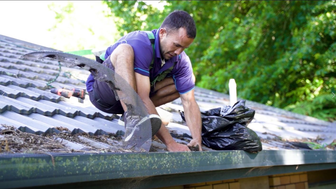 When to Schedule Gutter Cleaning in Plano TX: A Seasonal Guide